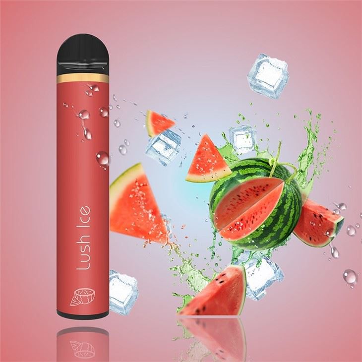 Disposable E-cigarette 1000 Puffs Bar
